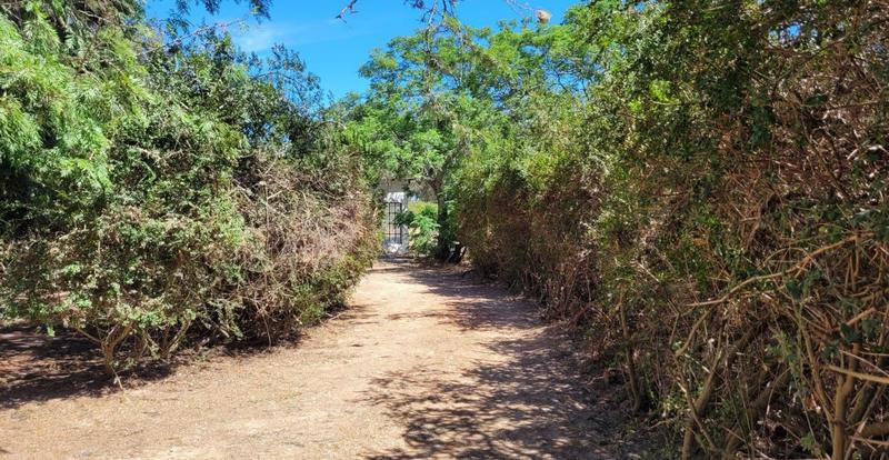 4 Bedroom Property for Sale in Hopefield Western Cape